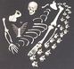 Demi squelette humain démonté, 52 pièces