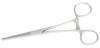 Pince Rochester Pean en inox, 14 cm