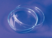 Boîte de Pétri en verre à fond plat H15 x Ø90 mm
