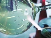 Fabrication spéciale de verrerie laboratoire chimie : demande de devis gratuit