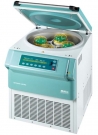 ROTANTA 460RC, centrifugeuse sous paillasse réfrigérée 220V H=68 cm