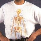 T-shirt coton : le squelette, taille L