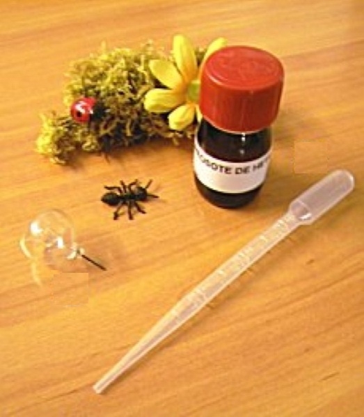 Créosote De Hêtre 30 Ml   Pipette (Attention Plus Que Quelques Unités ...